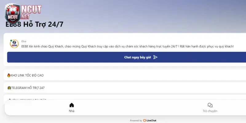 Nhà cái luôn chăm sóc tận tâm cược thủ