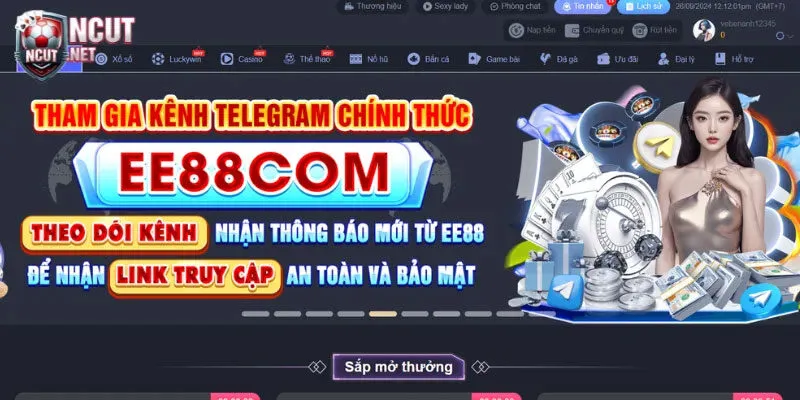 Tham gia cá cược tại sân chơi không lo vi phạm 