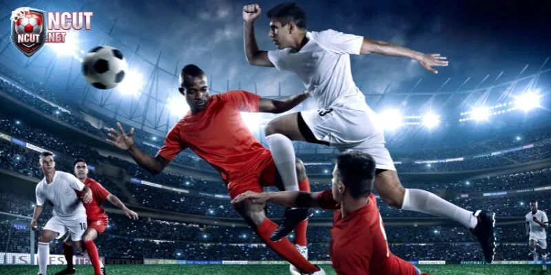 Cách Đọc Kèo Bóng Đá - Hướng Dẫn Chi Tiết Newbie Từ A Đến Z