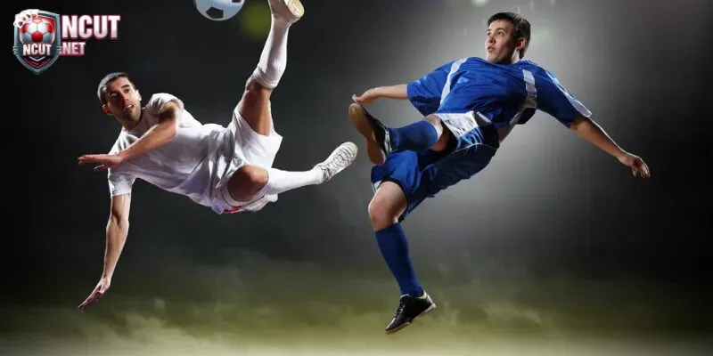 Khái niệm và ý nghĩa của thuật ngữ tỷ lệ Odds là gì?