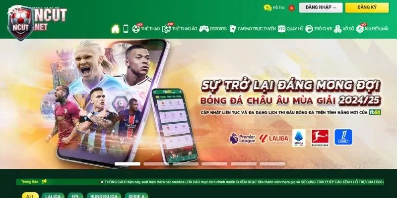 Lý do nên truy cập nhà cái để trải nghiệm