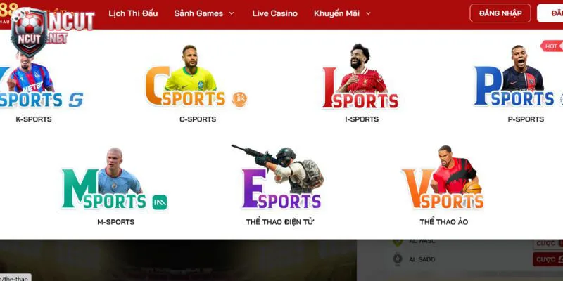 Cá cược Esports tại Red88